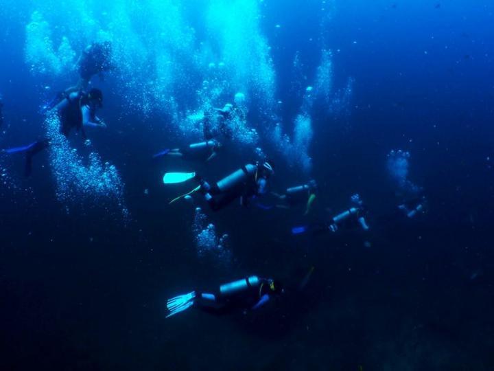 甄宓和曹植谁先死的?先死的那个比后死的那个早几年?甄宓死的时候曹睿多大?皇帝的圣旨是要盖章后才生效吗-全方位解答,专业有问必答平台